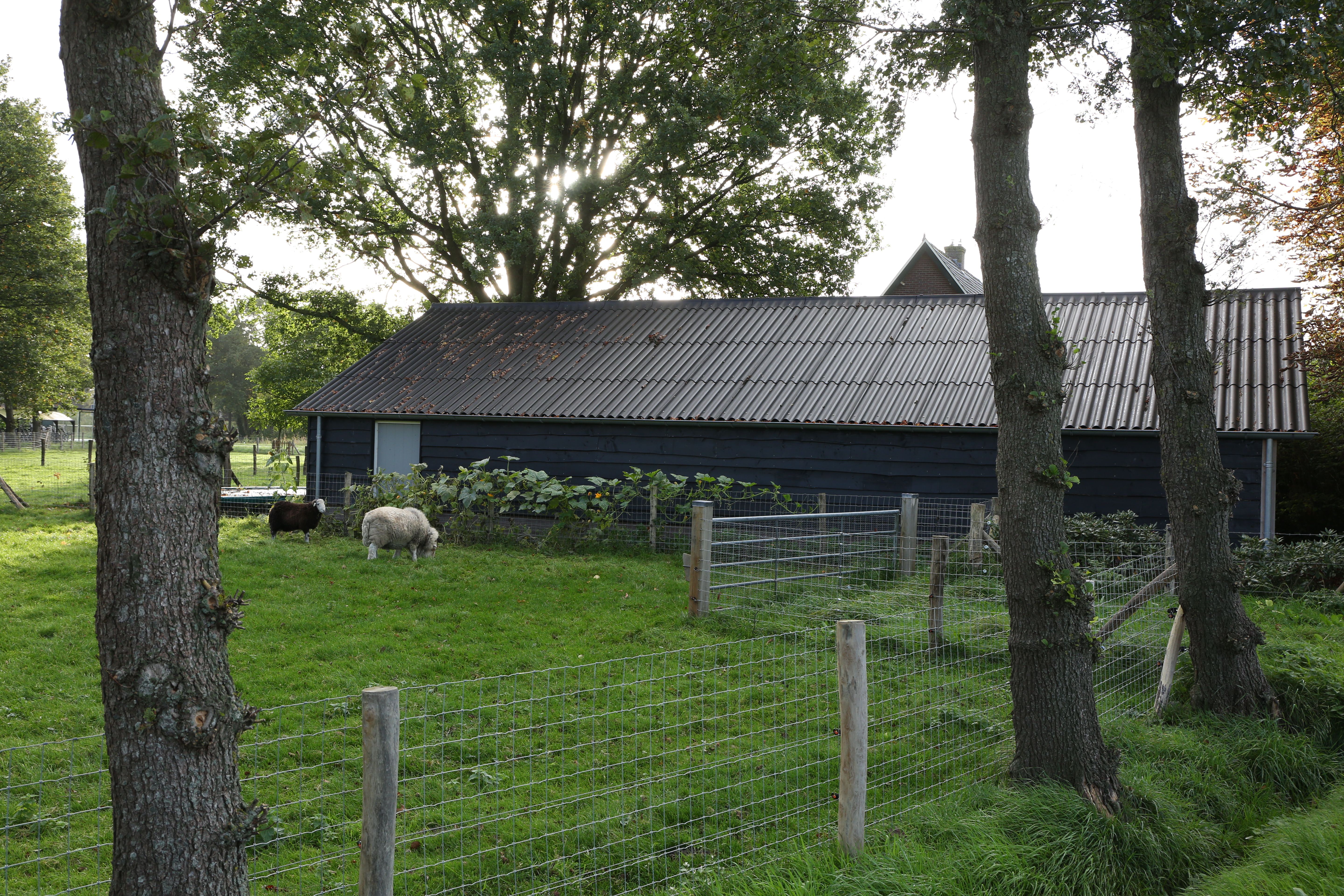 Bijgebouw - Harskamp